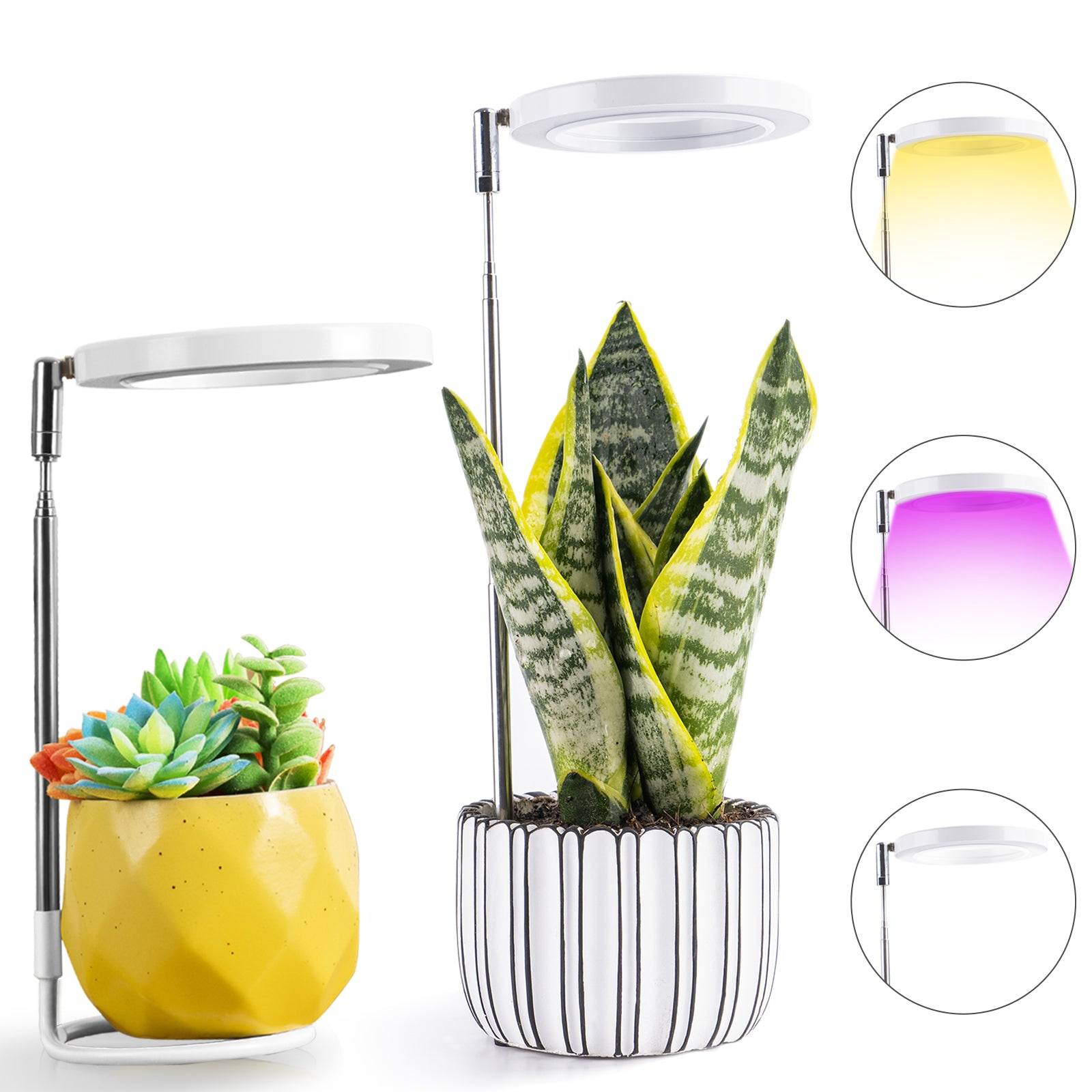 grow light for aloe vera plant FAFAGRASS Grow Lights for Indoor Plants, Full Spectrum LED Halo Plant