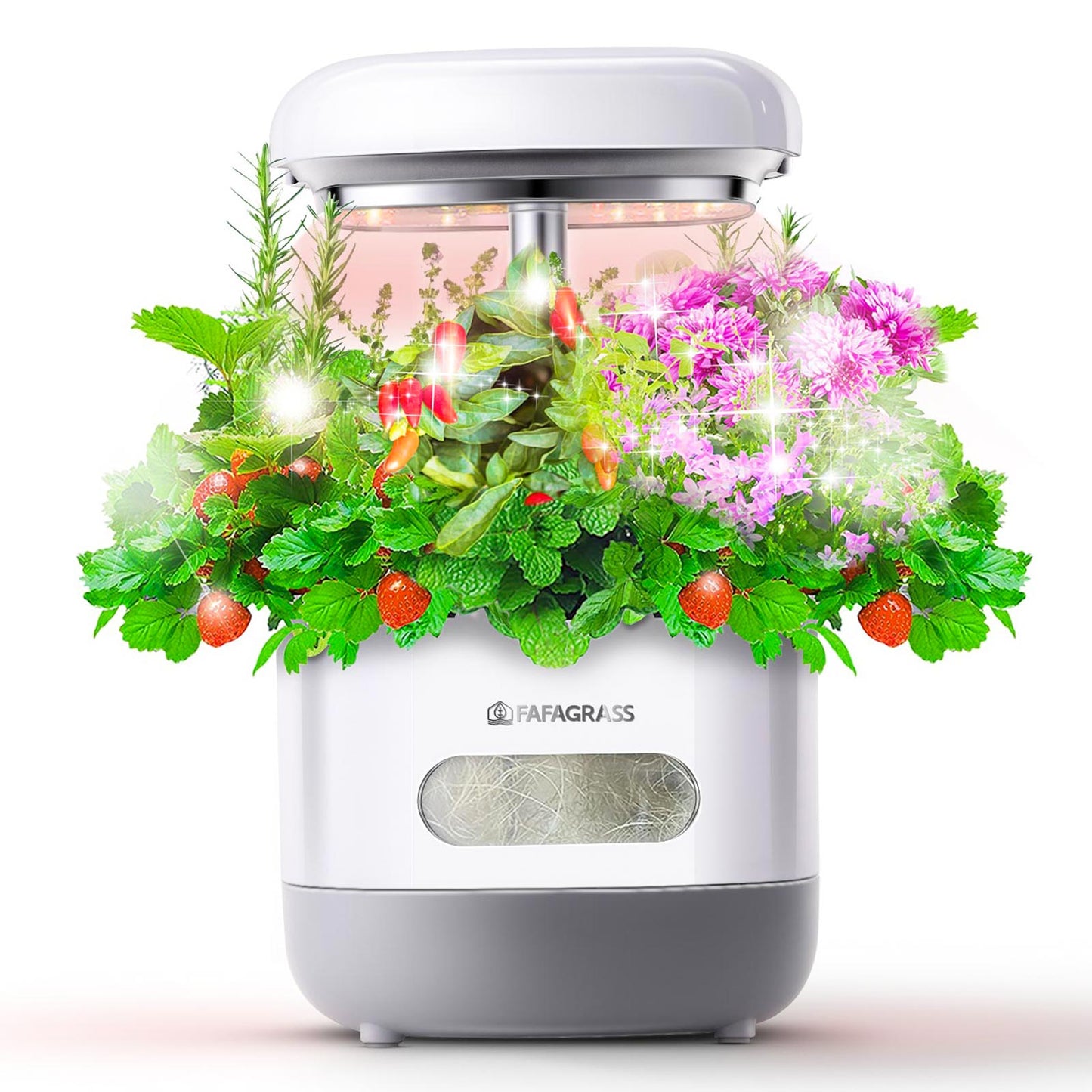 FAFAGRASS Hydroponics Growing System Herbs, salads & micro greens - Indoor Garden