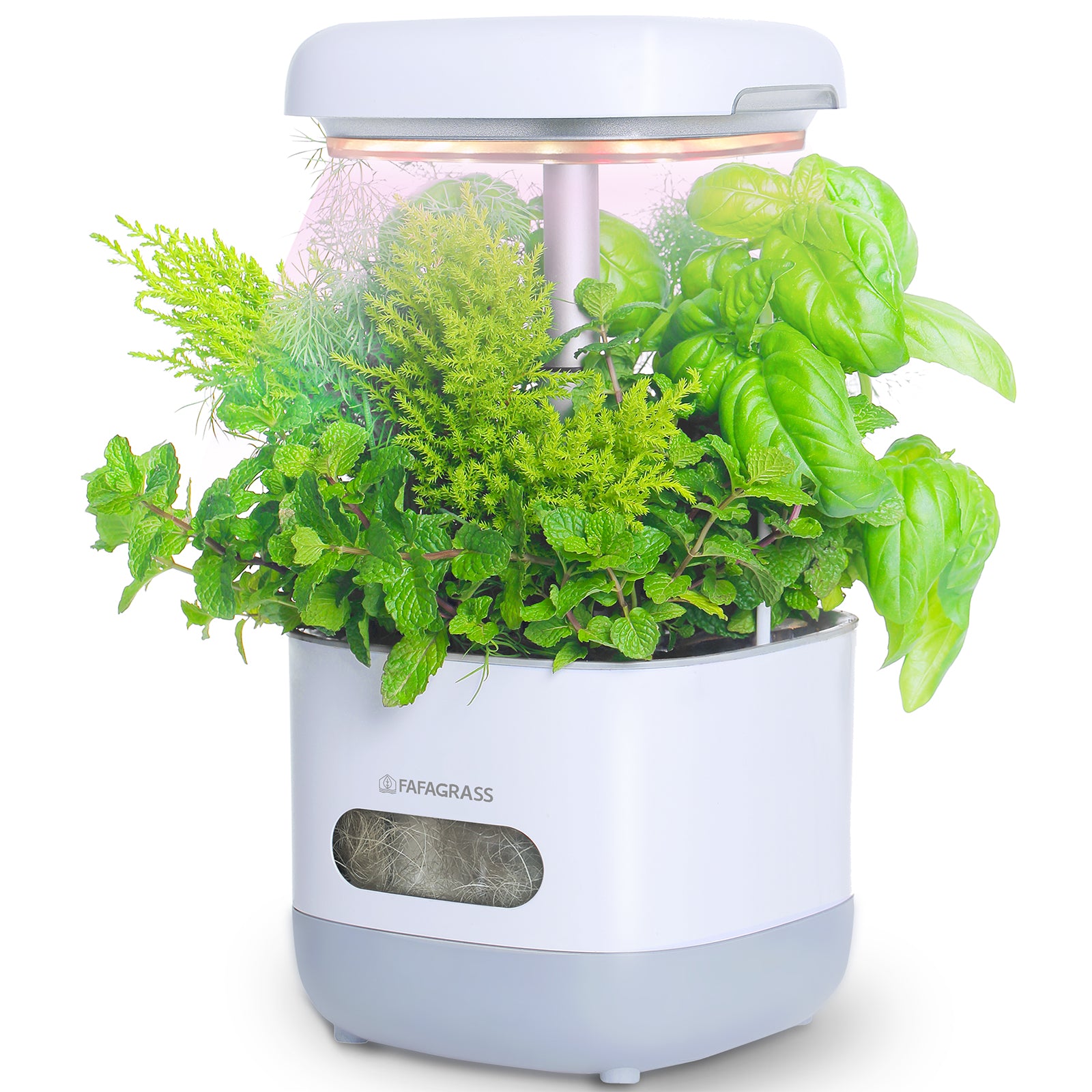 indoor hydroponics plants FAFAGRASS Hydroponics Growing System Herbs, salads & micro greens
