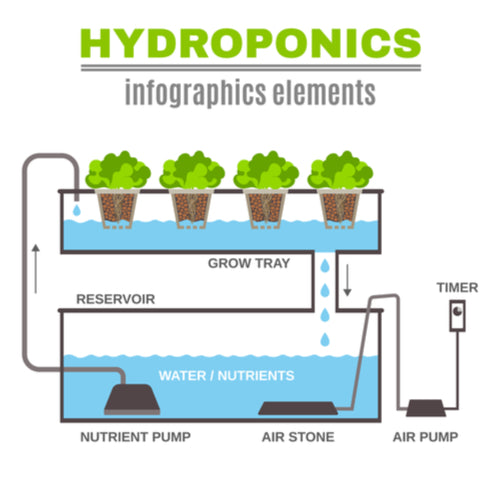 Hydroponics Tech Stuff: Light and Soil
