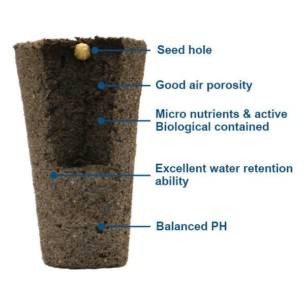 can you plant hydroponic sponges in soil Grow Sponges – FAFAGRASS